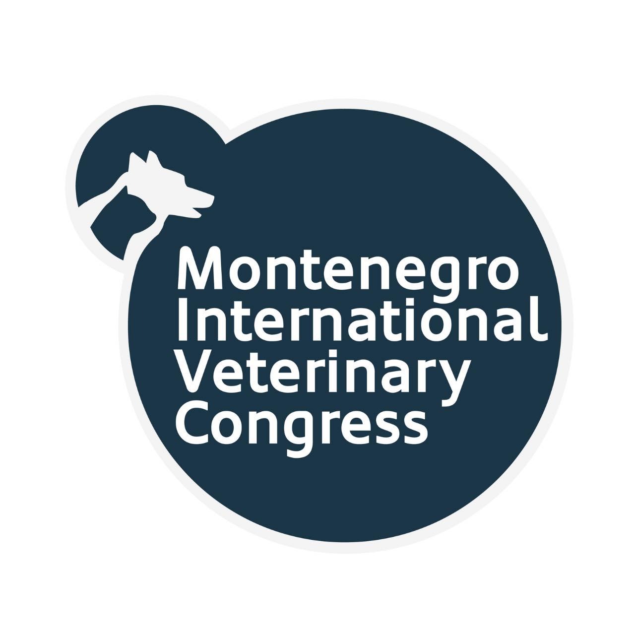 Montenegro Banner